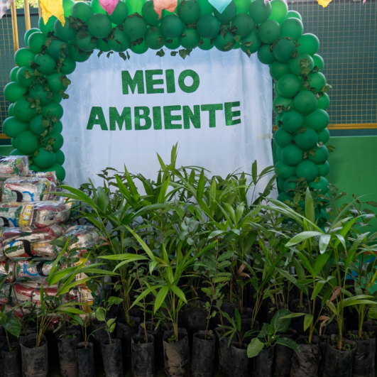 MAIO AMBIENTE